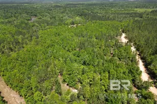 2610 Hwy 4, Jay, FL 32565 - Photo 18