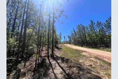 2610 Highway 4, Jay, FL 32565 - Photo 80