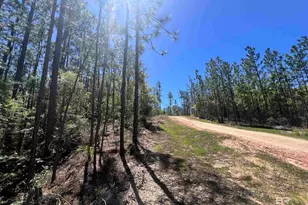 2610 Hwy 4, Jay, FL 32565 - Photo 80