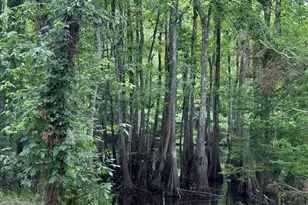 2610 Hwy 4, Jay, FL 32565 - Photo 52