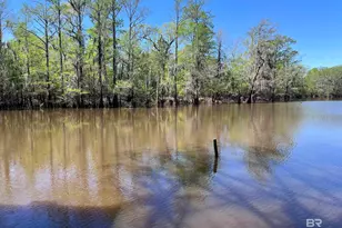 2610 Hwy 4, Jay, FL 32565 - Photo 66