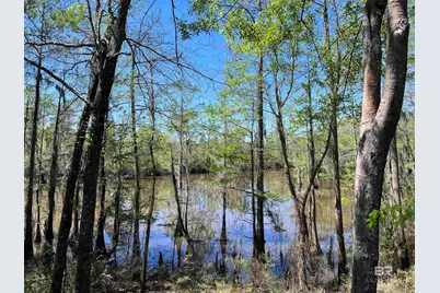 2610 Highway 4, Jay, FL 32565 - Photo 72