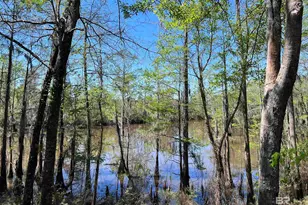 2610 Hwy 4, Jay, FL 32565 - Photo 72