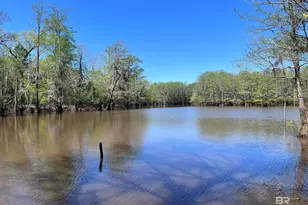 2610 Hwy 4, Jay, FL 32565 - Photo 64