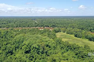 2610 Hwy 4, Jay, FL 32565 - Photo 12