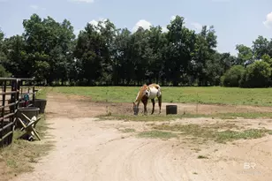 11882 Fieldcrest Ln, Fairhope, AL 36532 - Photo 8