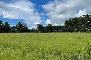 Lot 2 County Road 62, Robertsdale, AL 36567 - Photo 1