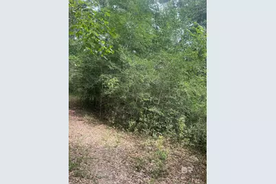 0 McDowell Road, Bay Minette, AL 36507 - Photo 4
