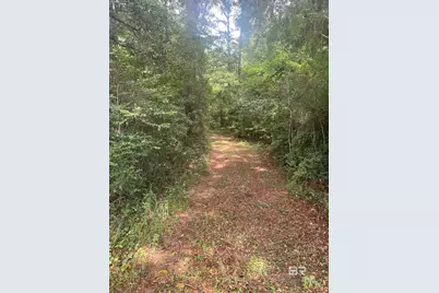 0 McDowell Road, Bay Minette, AL 36507 - Photo 2