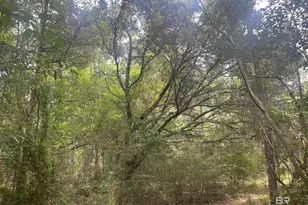 0 McDowell Rd, Bay Minette, AL 36507 - Photo 1