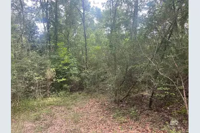 0 McDowell Road, Bay Minette, AL 36507 - Photo 8