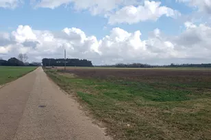 0 Jesse Allen Rd, Milton, FL 32570 - Photo 6