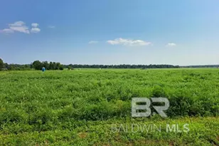 0 Jesse Allen Rd, Milton, FL 32570 - Photo 8