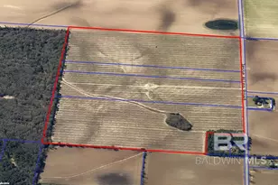 0 Jesse Allen Rd, Milton, FL 32570 - Photo 10