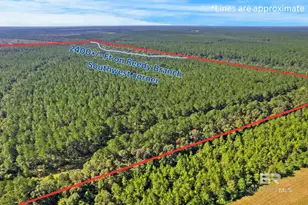 0 Nokomis Rd, Walnut Hill, FL 32568 - Photo 8