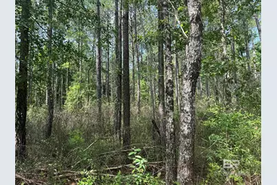 0 Nokomis Road, Walnut Hill, FL 32568 - Photo 26