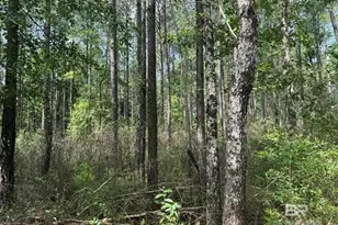 0 Nokomis Rd, Walnut Hill, FL 32568 - Photo 26