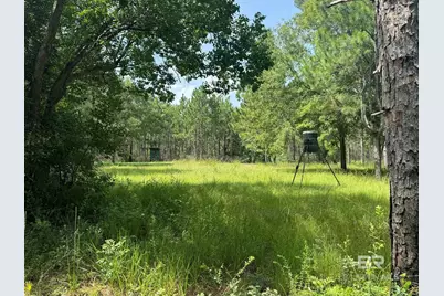 0 Nokomis Road, Walnut Hill, FL 32568 - Photo 2