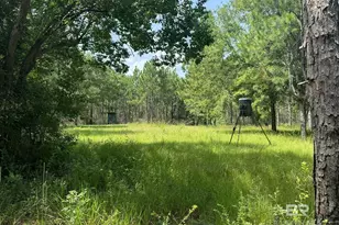 0 Nokomis Rd, Walnut Hill, FL 32568 - Photo 2