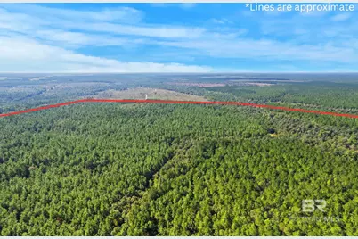 0 Nokomis Road, Walnut Hill, FL 32568 - Photo 40