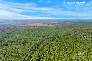 0 Nokomis Rd, Walnut Hill, FL 32568 - Photo 40