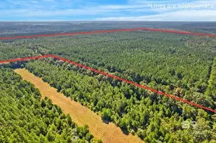 0 Nokomis Rd, Walnut Hill, FL 32568 - Photo 38