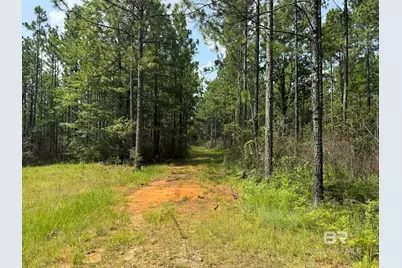 0 Nokomis Road, Walnut Hill, FL 32568 - Photo 18