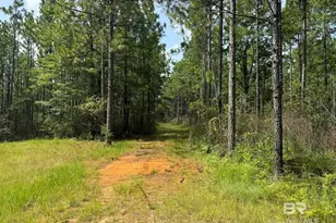 0 Nokomis Rd, Walnut Hill, FL 32568 - Photo 18