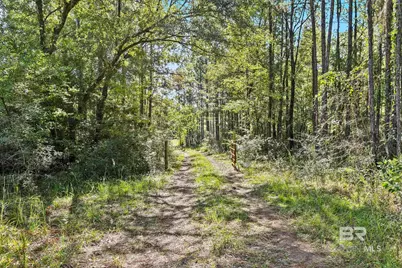 0 Nokomis Road, Walnut Hill, FL 32568 - Photo 12