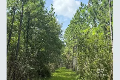 0 Nokomis Road, Walnut Hill, FL 32568 - Photo 34