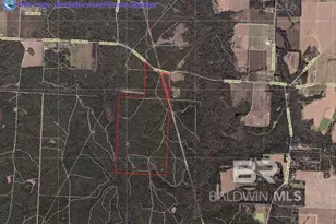 0 Nokomis Rd, Walnut Hill, FL 32568 - Photo 50