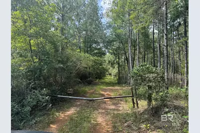 0 Nokomis Road, Walnut Hill, FL 32568 - Photo 4