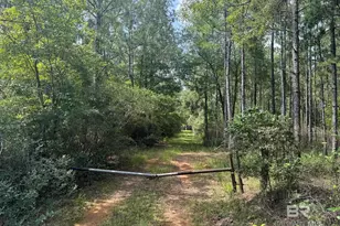 0 Nokomis Rd, Walnut Hill, FL 32568 - Photo 4