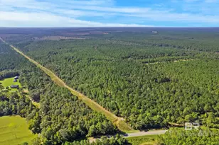 0 Nokomis Rd, Walnut Hill, FL 32568 - Photo 48