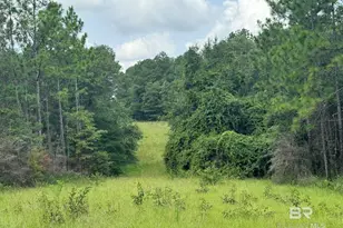 0 Nokomis Rd, Walnut Hill, FL 32568 - Photo 30