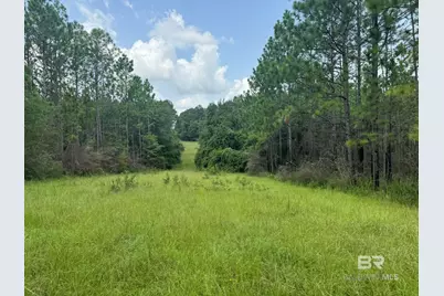 0 Nokomis Road, Walnut Hill, FL 32568 - Photo 6