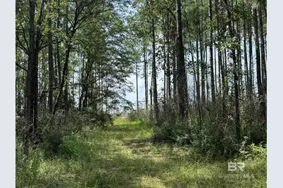 0 Nokomis Road, Walnut Hill, FL 32568 - Photo 36