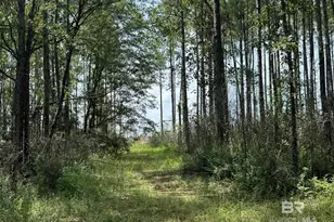 0 Nokomis Rd, Walnut Hill, FL 32568 - Photo 36