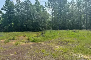 0 Nokomis Rd, Walnut Hill, FL 32568 - Photo 44