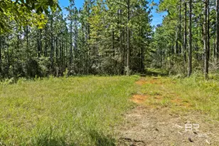 0 Nokomis Rd, Walnut Hill, FL 32568 - Photo 22