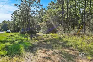 0 Nokomis Rd, Walnut Hill, FL 32568 - Photo 10