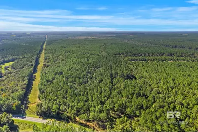 0 Nokomis Road, Walnut Hill, FL 32568 - Photo 42