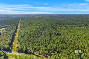 0 Nokomis Rd, Walnut Hill, FL 32568 - Photo 42