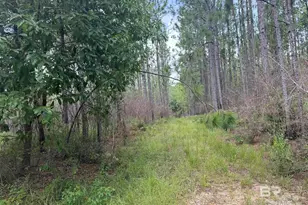 0 Nokomis Rd, Walnut Hill, FL 32568 - Photo 28