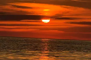 7409 Riverwood Dr E, Foley, AL 36535 - Photo 42