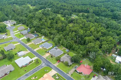 33003 Albert Hollon Lane, Lillian, AL 36549 - Photo 10