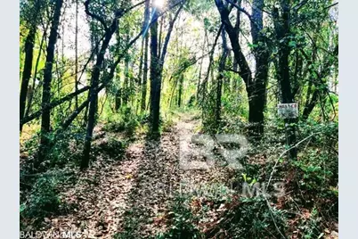 33003 Albert Hollon Lane, Lillian, AL 36549 - Photo 4