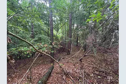 0 Lake Boulevard, Spanish Fort, AL 36527 - Photo 6