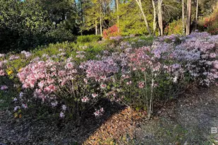 45554 County Rd 112, Bay Minette, AL 36507 - Photo 44