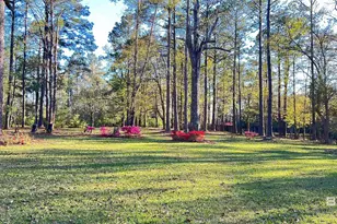 45554 County Rd 112, Bay Minette, AL 36507 - Photo 52